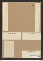 Hemiaulus fragilis Grun. (de-Toni-Nr.: Genus 117, Species 3353) Zeichnungen Sammlung Grunow Nr. 6763 (NHMW-BOT-W0375591)